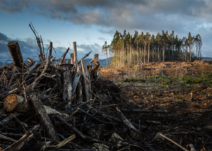 Can Climate Change Cause Hair Loss